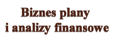 biznes plany i analizy finansowe